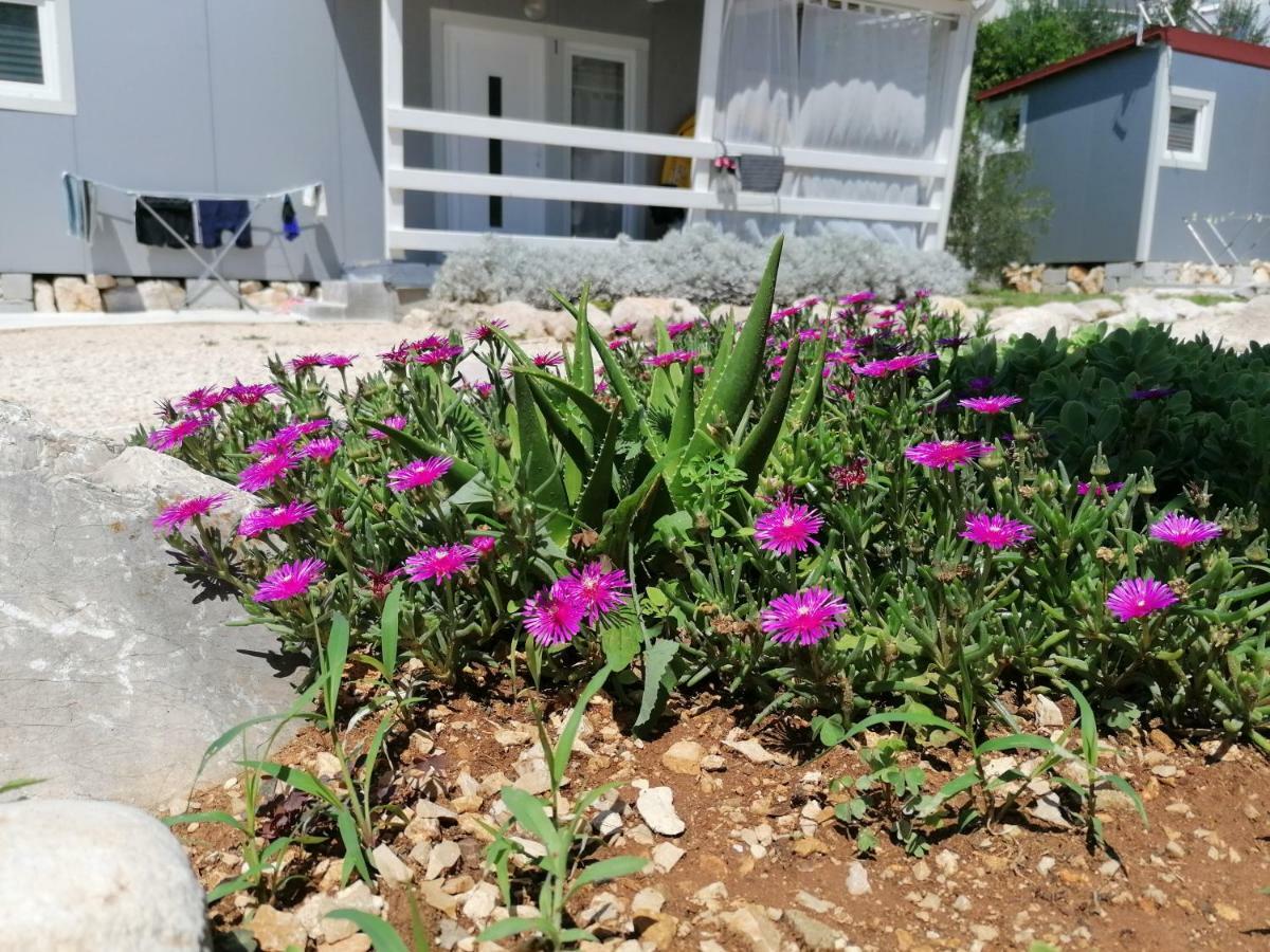Fjaka Camp Pakostane Bagian luar foto